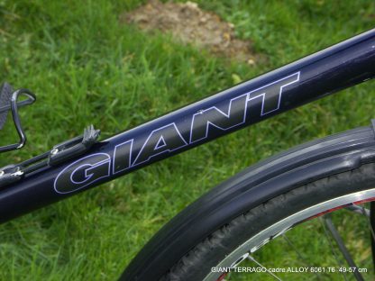 Giant Terrago – Image 3