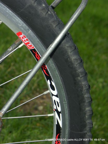 Giant Terrago – Image 10