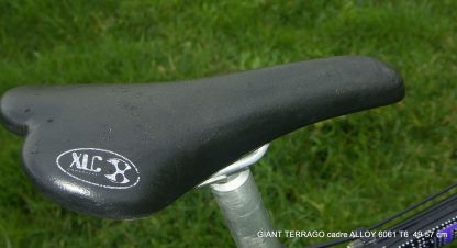 Giant Terrago – Image 19