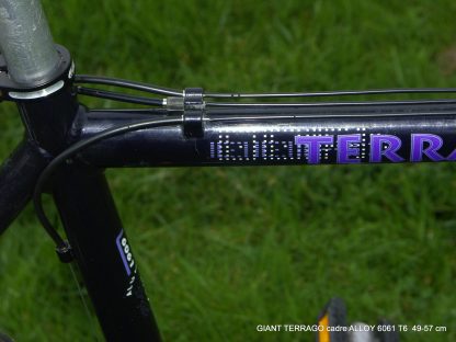 Giant Terrago – Image 20